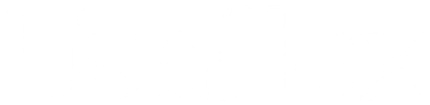 Logotipo Usaflex